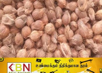 யாழில் நான்காயிரம் ரூபாவிற்கு விற்பனை செய்யப்பட்ட தேங்காய்!