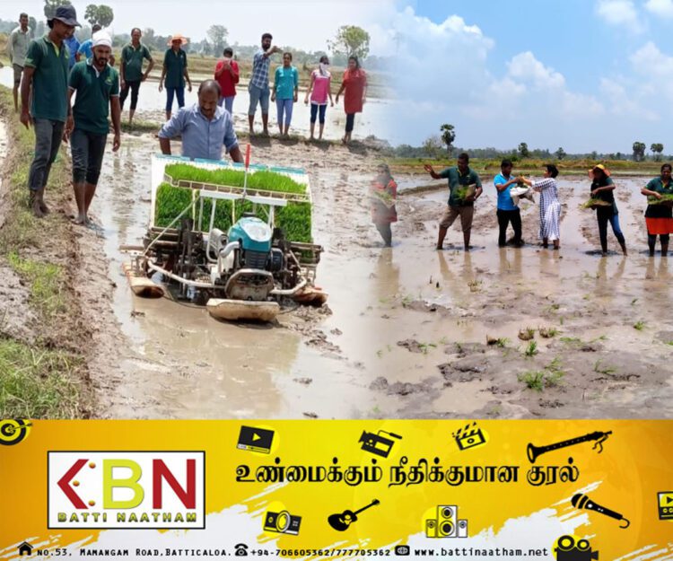 திக்கோடையில் நாற்று நடும் புதிய தொழில்நுட்பம் அறிமுகம்!