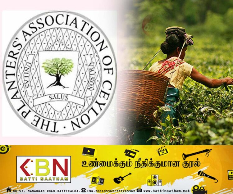 பெருந்தோட்டத் தொழிலாளர்களுக்கு 1,700 ரூபா சம்பளம் வழங்க முடியாது; முதலாளிமார் சம்மேளனம் அறிவிப்பு!
