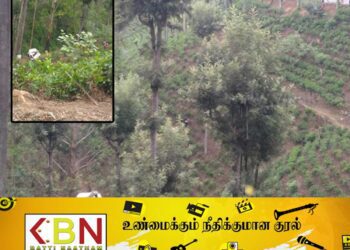 மலையிலிருந்து கீழே விழுந்த; வேன் பண்டாரவளையில் சம்பவம்!