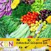 தம்புள்ளையில் வீழ்ச்சியடைந்துள்ள மரக்கறிகளின் விலைகள்!