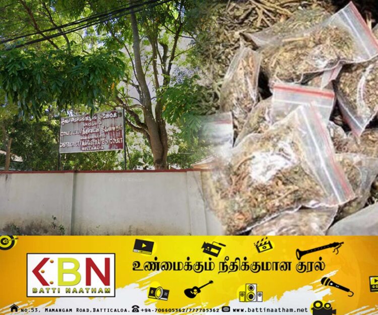 வெல்லவாய நீதிமன்ற வழக்கு பொருட்களான 171 கிலோ கஞ்சா மாயம்!