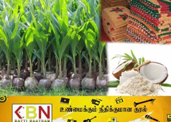 தென்னை தொடர்பான பொருட்களின் ஏற்றுமதியில் அதிக வருமானம் ஈட்டும் இலங்கை; தென்னை அபிவிருத்தி அதிகார சபை தெரிவிப்பு!