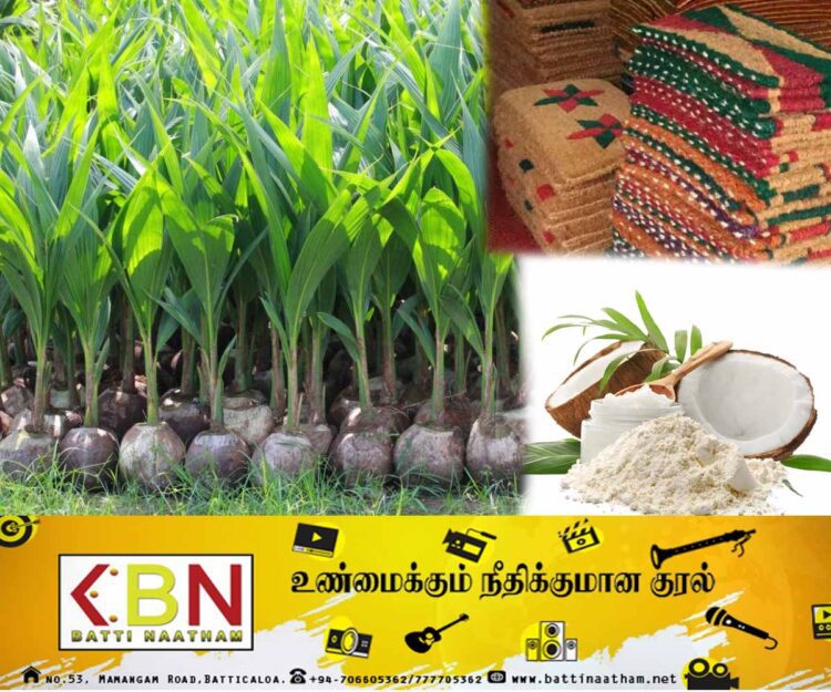 தென்னை தொடர்பான பொருட்களின் ஏற்றுமதியில் அதிக வருமானம் ஈட்டும் இலங்கை; தென்னை அபிவிருத்தி அதிகார சபை தெரிவிப்பு!