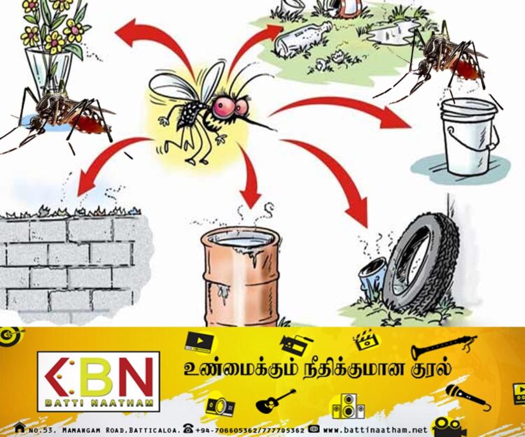 கொழும்பில் டெங்கு நோய் பரவும் அபாயத்தை தடுப்பதற்கு விடுக்கப்பட்டுள்ள பணிப்புரை!