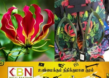 இலங்கையில் கார்த்திகைப் பூ பதிக்கப்பட்ட காலணி; தமிழர் தரப்பில் முன்வைக்கப்பட்டுள்ள குற்றச்சாட்டு!