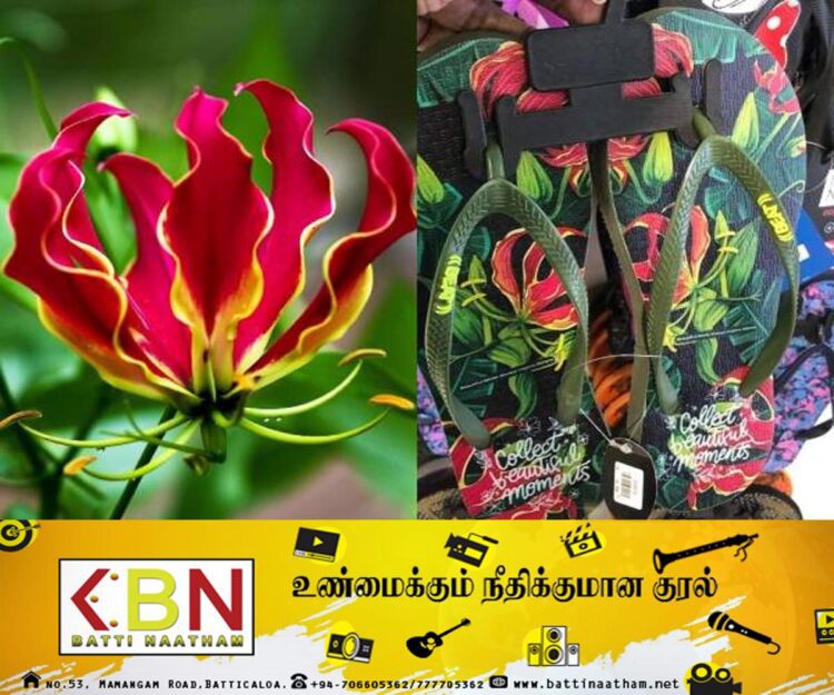 இலங்கையில் கார்த்திகைப் பூ பதிக்கப்பட்ட காலணி; தமிழர் தரப்பில் முன்வைக்கப்பட்டுள்ள குற்றச்சாட்டு!