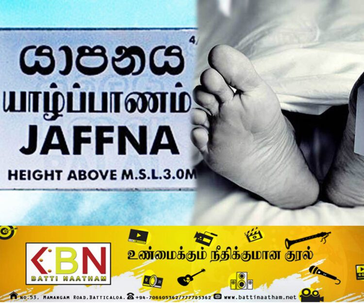 யாழில் மரத்திலிருந்து கீழே விழுந்து குடும்பஸ்தர் பலி!