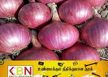குறைவடைந்துள்ள பெரிய வெங்காயத்தின் விலை!
