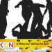 பேருந்தை நிறுத்தாமல் சென்ற சாரதி மீது தாக்குதல்!