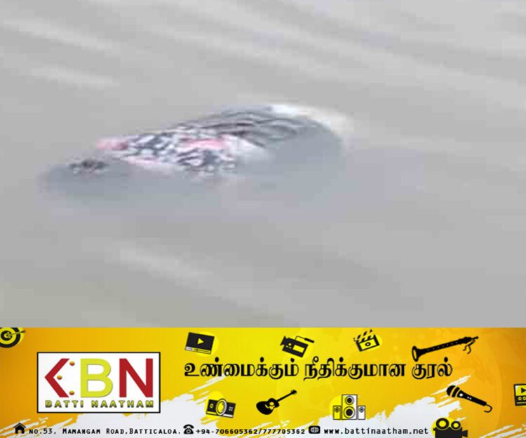 கொத்மலை நீர்த்தேக்கத்தில் யுவதியின் சடலம் மீட்பு!