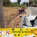 யாழில் பொலிஸார் விரட்டிச் சென்ற மோட்டார் சைக்கிள் மின் கம்பத்தில் மோதியது; ஒருவர் உயிரிழப்பு!