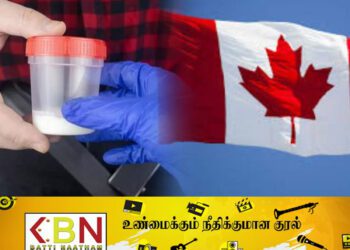 கனடாவில் 600 குழந்தைகளுக்கு தந்தையாகிய 3 ஆண்கள்; அதிர்ச்சி தகவல்!