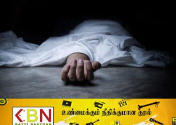 பிரித்தானியாவில் மர்மமான முறையில் உயிரிழந்த தம்பதியினர்!