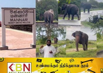 காட்டு யானைகளை வெளியேற்ற அரச அதிகாரிகள் முன்வர வேண்டும்; அருட்தந்தை டெஸ்மன் அஞ்சலோ அடிகளார் கோரிக்கை!
