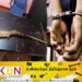 உள்ளூர் துப்பாக்கியுடன் ஒருவர் கைது!