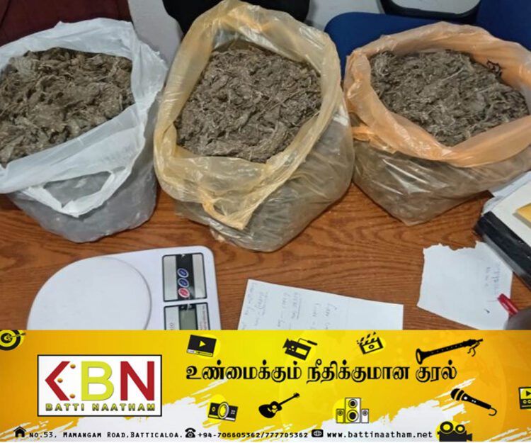 வவுனியாவில் 5 கிலோகிராம்  கஞ்சாவுடன் இளைஞன் ஒருவர் கைது!