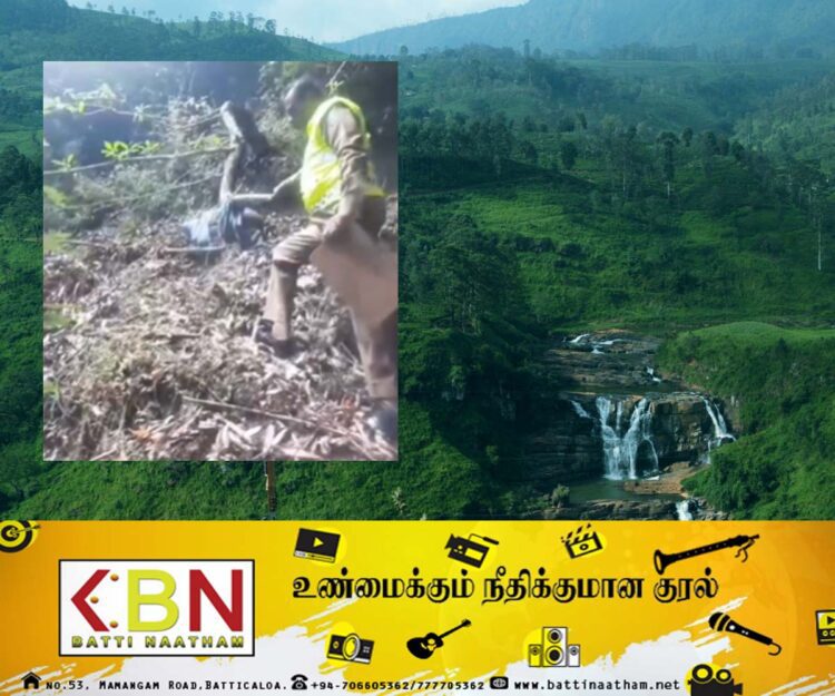 நுவரெலியா வனப்பகுதியொன்றிலிருந்து சிதைவடைந்த நிலையில் சடலம் மீட்பு!