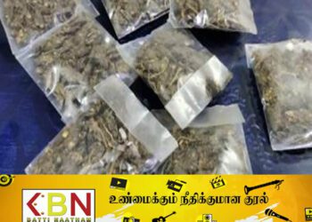 குஷ் போதைப் பொருளுடன் கட்டுநாயக்க விமான நிலையத்தில் இளைஞன் கைது!