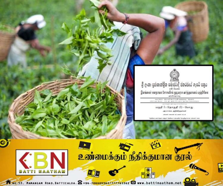 தோட்டத் தொழிலாளர்களின் சம்பளம் அதிகரிக்கப்பட்டு அதி விசேட வர்த்தமானி வெளியீடு!