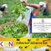 தோட்டத் தொழிலாளர்களின் சம்பளம் அதிகரிக்கப்பட்டு அதி விசேட வர்த்தமானி வெளியீடு!