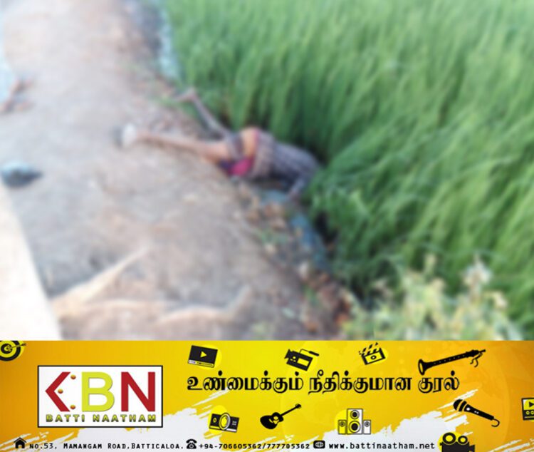 ஹிலோகம பகுதி வயலொன்றிலிருந்து ஆணொருவரின் சடலம் மீட்பு!