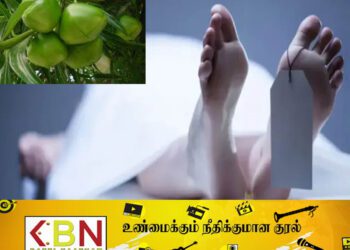 காதல் தொடர்பை நிறுத்த தாய் கோரியதால் அலரி விதையை உட்கொண்ட யுவதி உயிரிழப்பு!