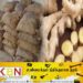 இலங்கைக்கு கடத்தப்பட இருந்த இஞ்சி மூட்டைகள் பறிமுதல்!
