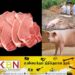 சீனாவிலிருந்து கொண்டுவரப்பட்ட பன்றி இறைச்சி; அதிகாரிகளை மிரட்டிய சீன பிரஜை கைது!