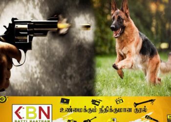 சோதனைக்கு சென்ற பொலிஸ் அதிகாரிகள் குழுவை நாயை விட்டு கடிக்க வைத்தவர் கைது!