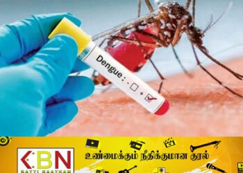 டெங்கு நோய் பரவல் அதிகரிப்பு; சுகாதார அதிகாரிகள் சங்கம் விடுத்துள்ள எச்சரிக்கை!