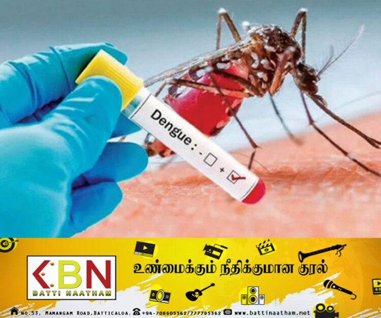 டெங்கு நோய் பரவல் அதிகரிப்பு; சுகாதார அதிகாரிகள் சங்கம் விடுத்துள்ள எச்சரிக்கை!