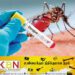 டெங்கு நோய் பரவல் அதிகரிப்பு; சுகாதார அதிகாரிகள் சங்கம் விடுத்துள்ள எச்சரிக்கை!
