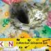 சுவிஸில் பல கொடிகள் பதுக்கி வைத்திருக்கும் இந்தியர்கள்!