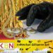 யாழ் ஆலயமொன்றில் பணம் உட்பட நகைகள் கொள்ளை!