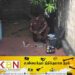 மட்டு காத்தான்குடியில் துப்பாக்கிச் சூடு; பெண்ணொருவர் வைத்தியசாலையில் அனுமதி!