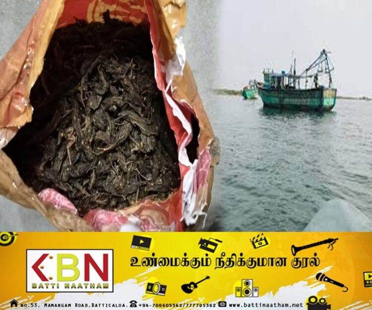 இந்தியாவிலிருந்து இலங்கைக்கு கடத்தவிருந்த கஞ்சா பறிமுதல்; இலங்கையர் உட்பட மூவர் கைது!