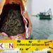 இந்தியாவிலிருந்து இலங்கைக்கு கடத்தவிருந்த கஞ்சா பறிமுதல்; இலங்கையர் உட்பட மூவர் கைது!