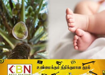தலையில் தேங்காய் விழுந்ததில் 11 மாத பெண் குழந்தை உயிரிழப்பு!