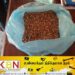 வவுனியாவில் போதை கலந்த பாக்கு விற்பனை அதிகரிப்பு; கண்டுகொள்ளாத பொலிஸார்!