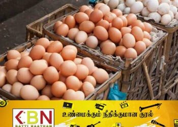 நாட்டில் முட்டை விலை குறையும்!