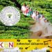 சம்பள அதிகரிப்பை வழங்க மறுத்த பெருந்தோட்ட கம்பனிகளின் ஒப்பந்தங்கள் இரத்து!