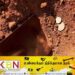 இரு வேறு பிரதேசங்களில் புதையல் தோண்டிய 14 சந்தேக நபர்கள் கைது !