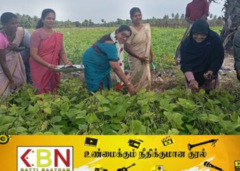 ஆரையம்பதி பிரதேச செயலகப் பிரிவில் பயறு அறுவடை நிகழ்வு!