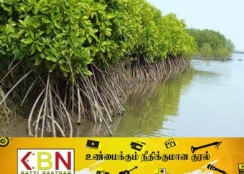 ஈர நிலங்களை அழிப்பதை கட்டுப்படுத்த புதிய திட்டம்!