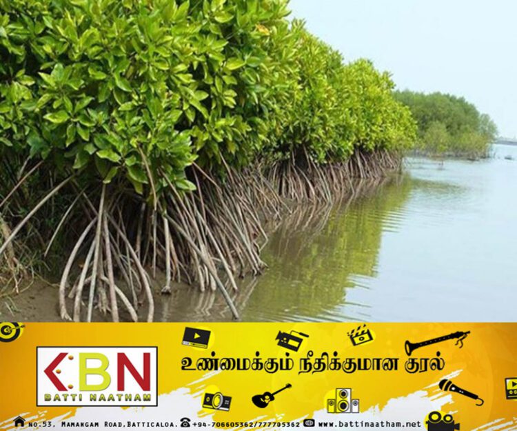ஈர நிலங்களை அழிப்பதை கட்டுப்படுத்த புதிய திட்டம்!