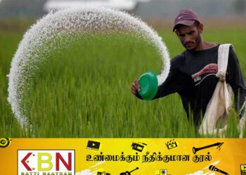 விவசாயிகளுக்கு இலவசமாக உரங்கள் வழங்க தீர்மானம்; அமைச்சர் மகிந்த அமரவீர தெரிவிப்பு!