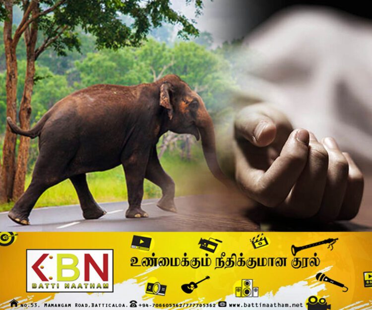 திருகோணமலையில் யானை தாக்கி ஒருவர் பலி!
