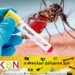 நாட்டில் டெங்கு நோயாளர்களின் எண்ணிக்கை அதிகரிப்பு!