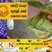 சமுர்த்தி அபிவிருத்தி வங்கியினூடாக அஸ்வெசும கடன் திட்டமொன்று அறிமுகம்!